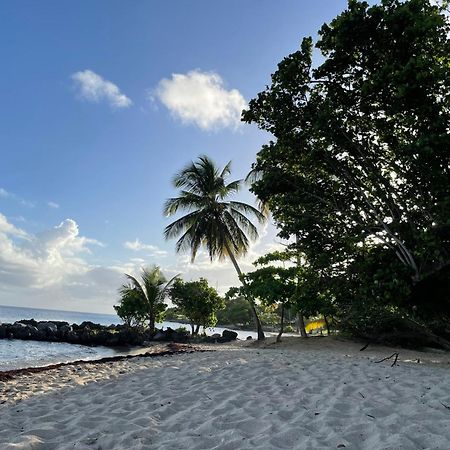 Villa Caraibes Sainte-Luce Ngoại thất bức ảnh