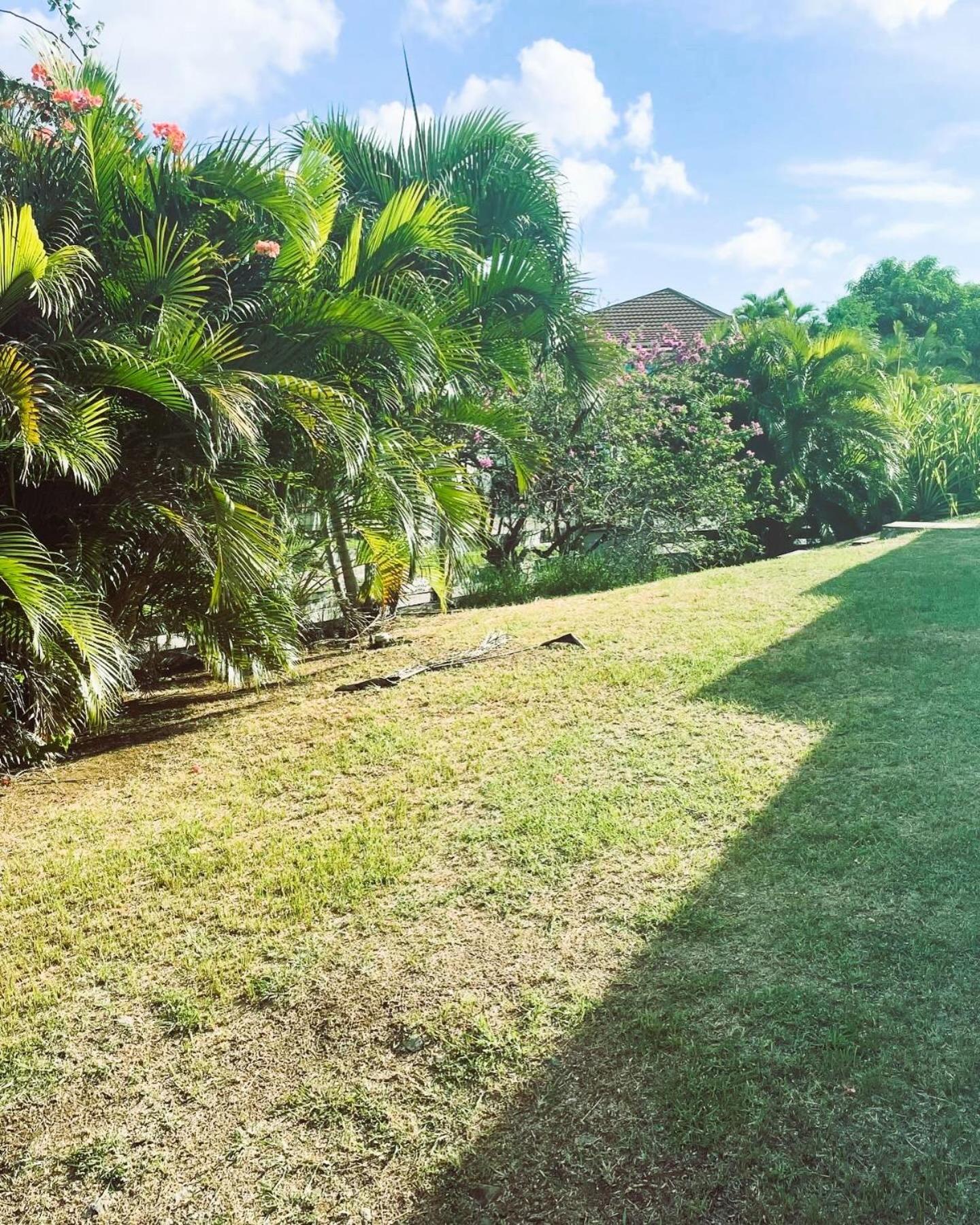 Villa Caraibes Sainte-Luce Ngoại thất bức ảnh