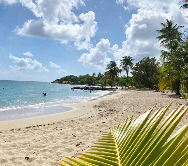 Villa Caraibes Sainte-Luce Ngoại thất bức ảnh
